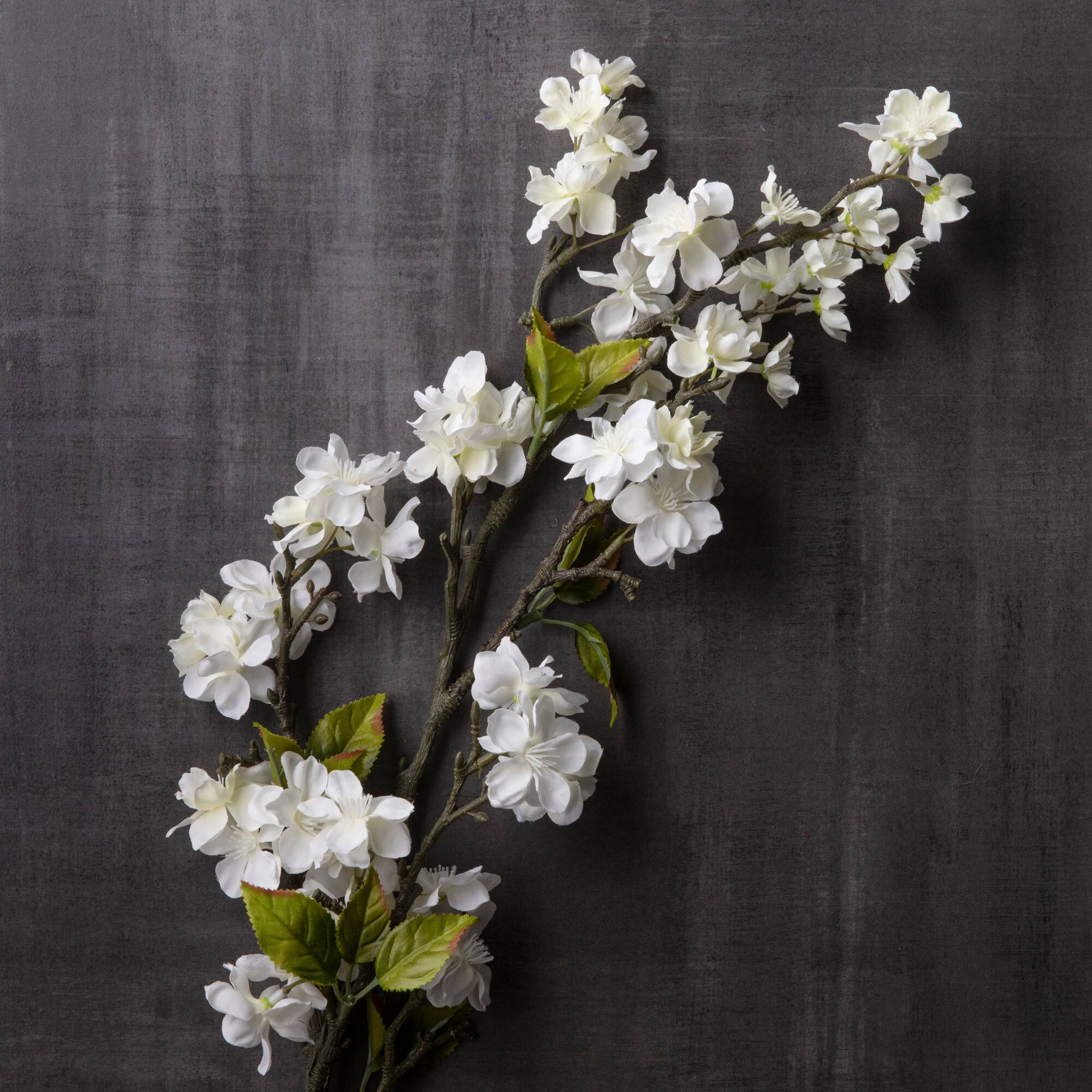 Cream Blossom Stem by Ashland®